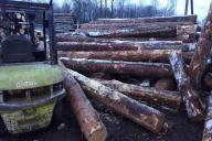 бревна