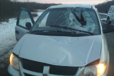 Очередной пешеход погиб под Витебском, его сбил «Dodge Caravan»: ГАИ ищет очевидцев