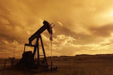Три новые залежи нефти открыли в Беларуси 
