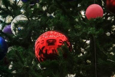 Коммунальщики рассказали белорусам, что делать с новогодней елкой после праздников 