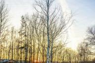 погода в Беларуси