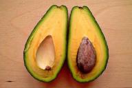 авокадо 