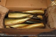 В Беларусь пытались ввести опасную для потребителя рыбную продукцию