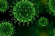 коронавирус