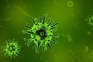 Ученые заявили о появлении нового «апокалиптического» вируса