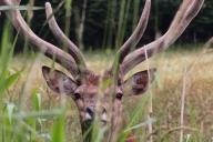 ТОП-7 фото Беларуси в Instagram на 27 июня 2020 года