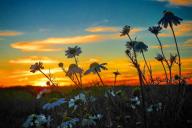 ТОП-7 фото Беларуси в Instagram на 2 июля 2020 года