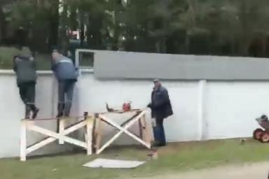 В резиденции Лукашенко начали наращивать забор из колючей проволоки