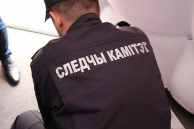 СК: В Беларуси младенцев в морозильной камере находят не впервые