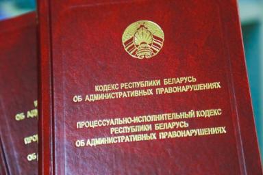 Кочанова: работа над законодательством об административной ответственности будет продолжена