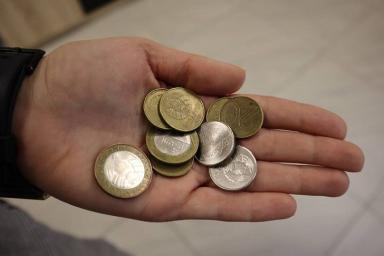 В Беларуси выпустили единственную в мире монету с вертлявой камышовкой