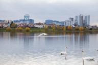 Новости недели: задержание Бабарико, дело Белгазпромбанка, стрельба на границе Беларуси и повышение пенсий