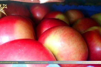 Белорусские таможенники пресекли незаконный ввоз в Россию 20 тонн польских яблок