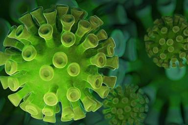 Найден «пособник» коронавируса, который помогает патогену проникать в мозг
