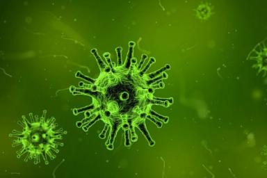 «Патоген приспосабливается»: вирусолог предупредил об опасном феномене COVID-19