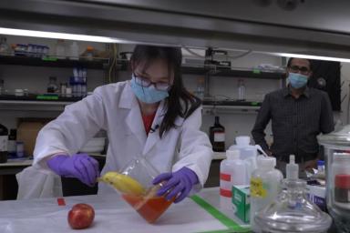 Ученые: недорогое яичное покрытие увеличит срок хранения свежих фруктов и овощей