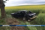 Под Гродно пьяный бесправник на «Форде» влетел в дерево: погиб 17-летний пассажир