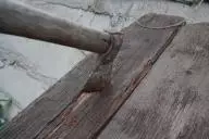 В Житковичском районе мужчина топором зарубил чужого пса и получил штраф