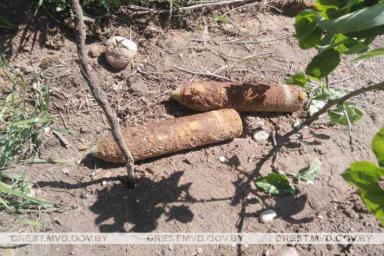 В деревне Барановичского района нашли склад боеприпасов