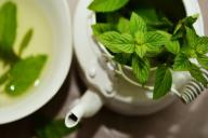 Помощь при стрессе и профилактика болезней сердца: медики перечислили полезные свойства мяты
