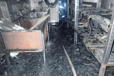 Под Гомелем ночью горел совхоз-комбинат «Сож»: уничтожено 5 тонн свинины