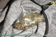 Дальнобойщик из Гродно пытался въехать в Польшу с марихуаной в кармане