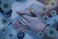 Эпидемия COVID-19 могла начаться еще летом 2019 года: найдены косвенные доказательства