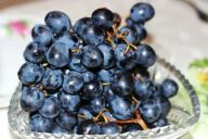 Названы 3 «суперпродукта», которые улучшают работу мозга