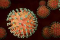 Формула смерти: ученые рассказали об индексе иммунитета, определяющем риск смерти от COVID-19