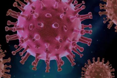 Ученые: антитела к COVID-19 могут исчезать через два месяца