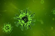 «Зловещие щупальца»: ученые обнаружили новые свойства у клеток, зараженных коронавирусом