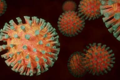 В Китае обнаружен вирус, который может вызвать новую пандемию