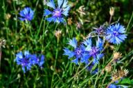 ТОП-7 фото Беларуси в Instagram на 30 июля 2020 года