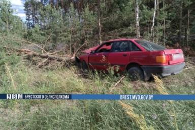 Бесправник на Audi врезался в дерево в Ивановском районе: двое пострадавших