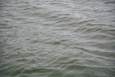 Под Новогрудком ночью в озере утонула 15-летняя девочка 