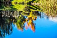 Огромная щука покусала женщину и стала причиной ночных кошмаров