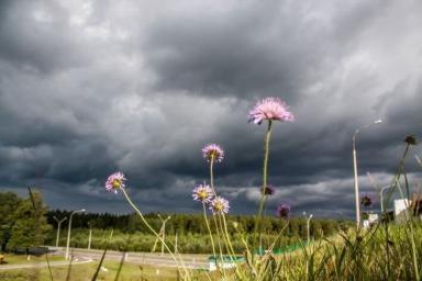 Жара и грозы: в Беларуси на понедельник объявлено штормовое предупреждение 