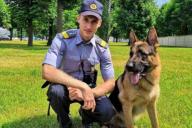 В Могилеве кинолог выгуливал служебную собаку и заодно задержал хулигана