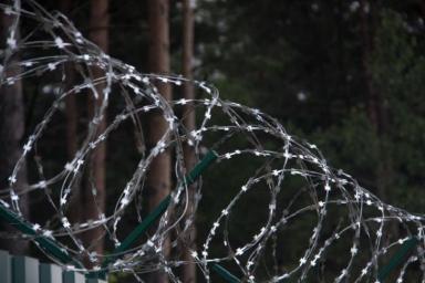 Более 1,6 тыс. человек в Беларуси вышли на свободу по амнистии