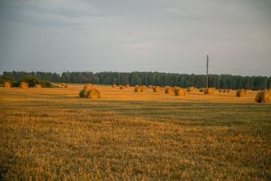 В вузы Беларуси смогут без испытаний поступить выпускники аграрных классов 