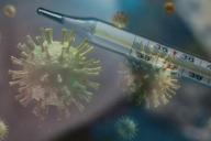 Ученые предупреждают о появлении нового коронавируса: будет передаваться от животных 
