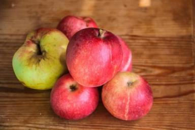 В России уничтожили груши, яблоки и клубнику из Беларуси