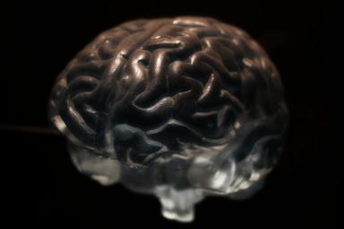 Разработан имплантат для подключения мозга к компьютеру