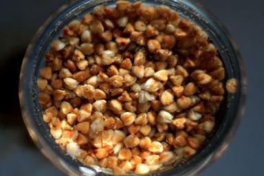 Как сварить гречку в кастрюле, чтобы она была рассыпчатой и вкусной: 5 лайфхаков