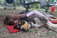 Почему собака на самом деле любит спать с человеком? Ответ психологов вас удивит