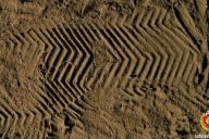 В Горецком районе дачного вора нашли по следу от обуви