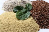 Названа каша, употребление которой замедляет старение