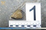 Украинец пытался ввезти в Беларусь марихуану. Возбуждено уголовное дело 