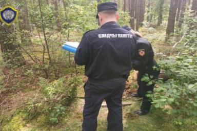 Шла по лесу в наушниках: в Пуховичском районе на девочку упало спиленное дерево – она погибла