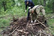 СК раскрыл убийство 69-летней предпринимательницы: задержан её водитель